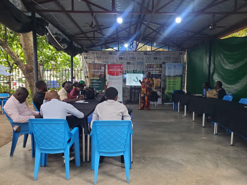 Formation sur la Filière Manioc : Le CERTTIS et l’IGSC franchissent le Cap de la Qualité et des Normes d'Exportation au Troisième Jour